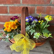 Spring Planted Basket 