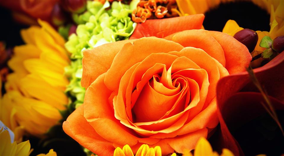 Flowers